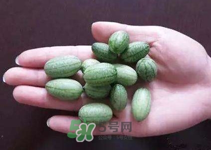 拇指西瓜怎么吃？拇指西瓜好吃嗎