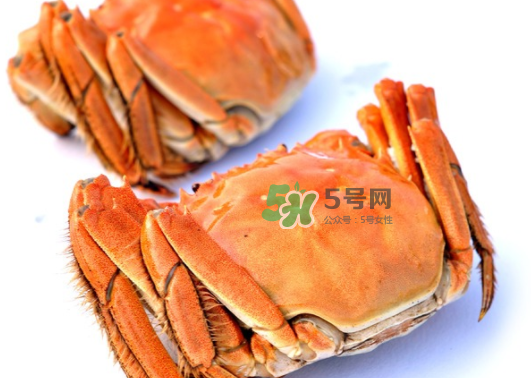 板蟹蒸多長(zhǎng)時(shí)間？板蟹蒸多久時(shí)間能熟？