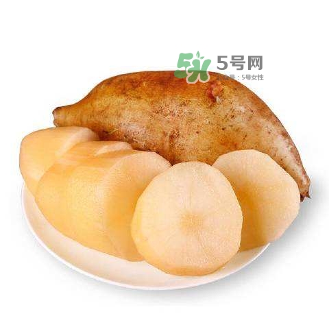 雪蓮果怎么挑？雪蓮果怎么儲(chǔ)存方法？