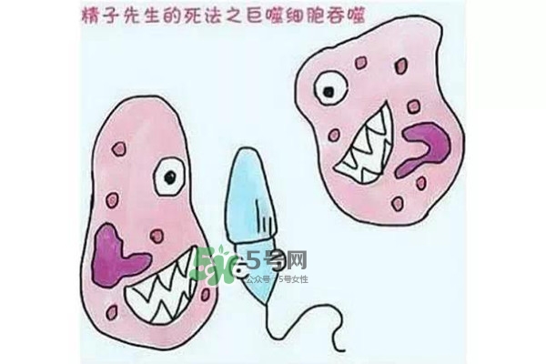 殺精的食物有哪些？吃什么東西殺精？