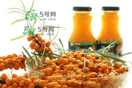 沙棘是什么？沙棘的功效與作用