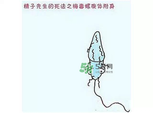 殺精的食物有哪些？吃什么東西殺精？