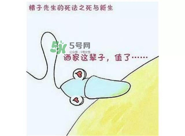 殺精的食物有哪些？吃什么東西殺精？