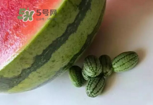 拇指西瓜什么時(shí)候上市？拇指西瓜什么時(shí)候成熟