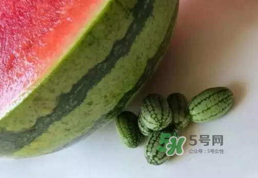 拇指西瓜多少錢一斤？拇指西瓜一口能吃幾個(gè)？