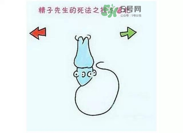 殺精的食物有哪些？吃什么東西殺精？