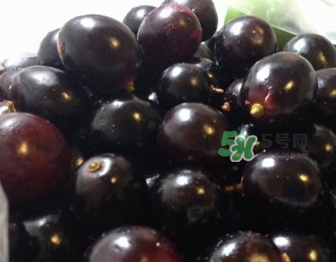 烏梅是綠色的正常嗎？烏梅是綠色的能吃嗎