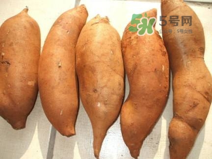 雪蓮果是水果嗎？雪蓮果是什么季節(jié)的水果？