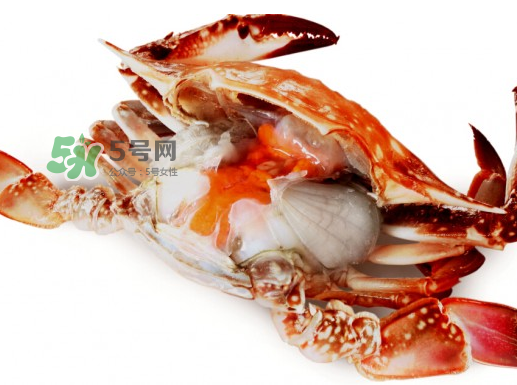 吃梭子蟹會胖嗎？梭子蟹吃了會胖嗎？ 