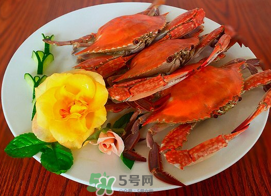 吃梭子蟹會胖嗎？梭子蟹吃了會胖嗎？ 