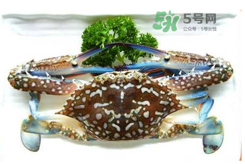 螃蟹腿藍色的是什么？螃蟹腿為什么是藍色？