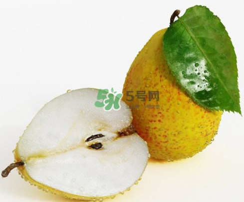 為什么梨子是溫度最高的水果？梨子什么人不能吃