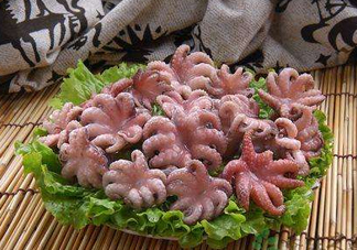 八爪魚煮多久才好？八爪魚需要煮多久？