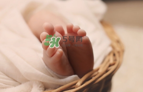 孕婦怎么吃燕窩最好？哪些孕媽需要吃燕窩？
