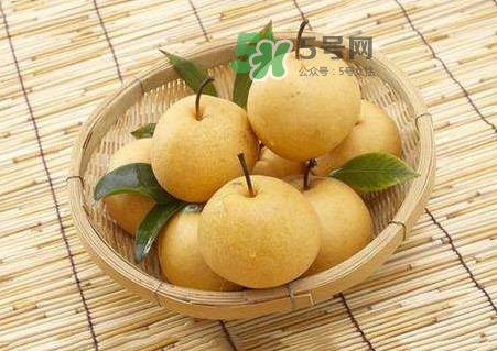 梨子怎么保存？梨子可以放冰箱嗎