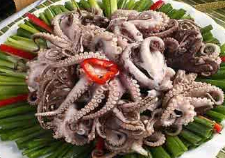 八爪魚(yú)可以冷凍嗎？八爪魚(yú)可以放冰箱嗎？
