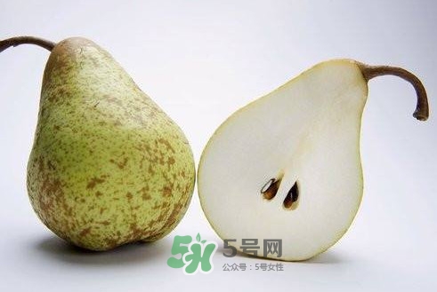 梨子核可以種盆栽嗎？梨子籽怎么種小盆栽