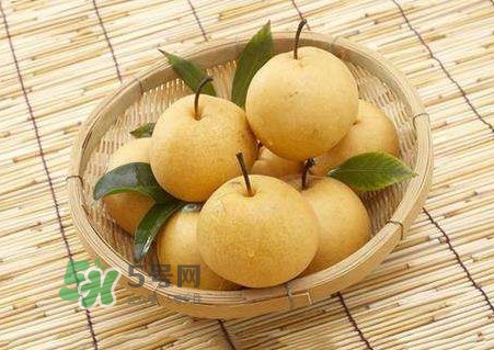 買梨子怎么挑選？梨子外面為什么要包張紙