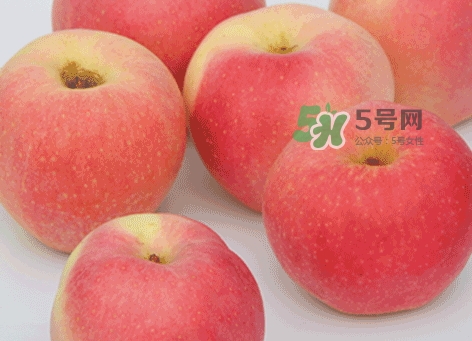 嘎啦蘋果什么時候摘袋？嘎啦果什么時候成熟上市