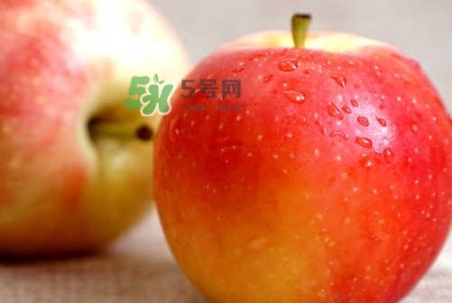 嘎啦蘋果多少錢？嘎啦果多少錢一斤