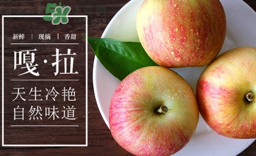 嘎啦蘋果多少錢？嘎啦果多少錢一斤