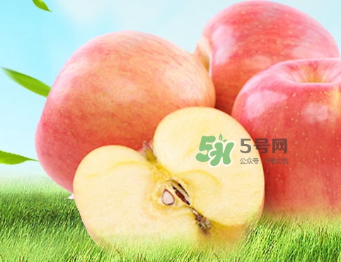 嘎啦蘋果多少錢？嘎啦果多少錢一斤