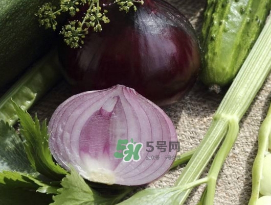 皮芽子發(fā)芽了可以吃嗎？新疆人為什么都愛(ài)吃皮芽子