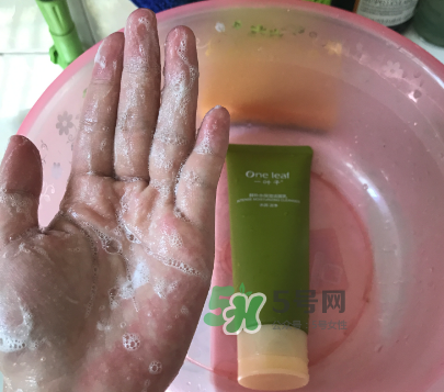 一葉子補(bǔ)水潔面乳怎么樣？一葉子補(bǔ)水洗面奶好用嗎？