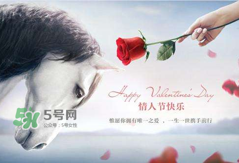 roseonly怎么樣？roseonly好看嗎？
