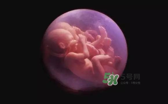 多胞胎是怎么生產(chǎn)的？多胞胎應(yīng)選擇什么分娩方式