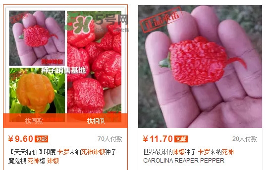 卡羅萊納死神辣椒中國(guó)有嗎？死神辣椒哪里有賣(mài)