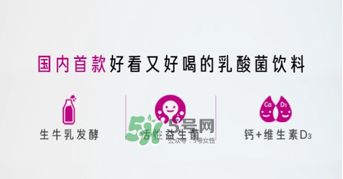 每日活菌乳酸菌多少錢一瓶？每日活菌乳酸菌好喝嗎？