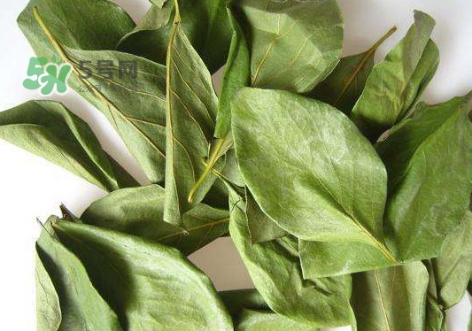 怎樣制作柿子葉茶？柿子葉茶的做法