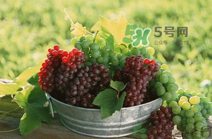 秋天成熟的水果有哪些？秋天吃水果有哪些禁忌