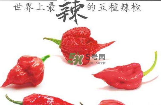 卡羅萊納死神辣椒中國(guó)有嗎？死神辣椒哪里有賣(mài)