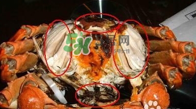螃蟹怎么吃好吃？螃蟹和什么一起吃最好？