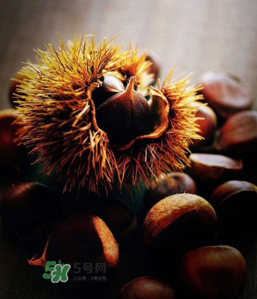 板栗能補(bǔ)腎嗎？板栗補(bǔ)腎陰還是腎陽？