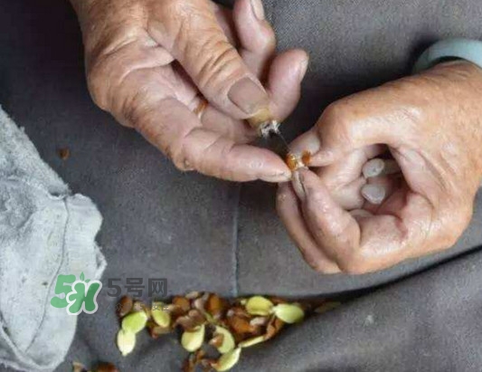 皂角米是怎么剝出來的？皂角米是酸性還是堿性