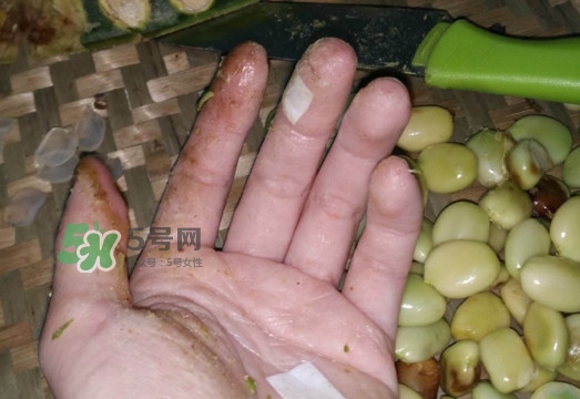 皂角米是怎么剝出來的？皂角米是酸性還是堿性
