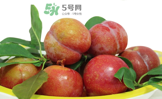 芙蓉李多少錢一斤？芙蓉李價格
