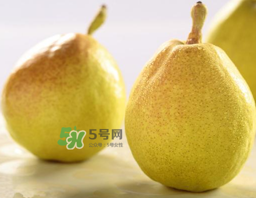 香梨能不能熬冰糖雪梨？香梨可以做冰糖雪梨嗎？