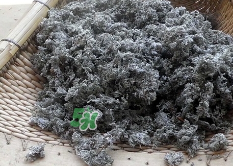白蒿的營養(yǎng)價(jià)值_白蒿的功效與作用及食用方法