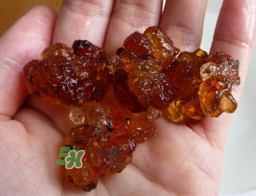 桃膠哪里有賣的？哪里產(chǎn)的桃膠最好