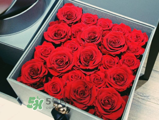roseonly怎么買？roseonly如何買第二次？