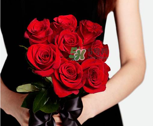 roseonly怎么讀？roseonly怎么讀在線讀？