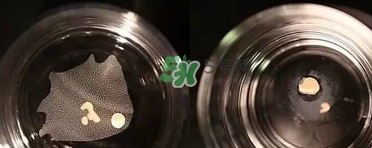 資生堂智能持久粉底液怎么樣？資生堂智能粉底液怎么用