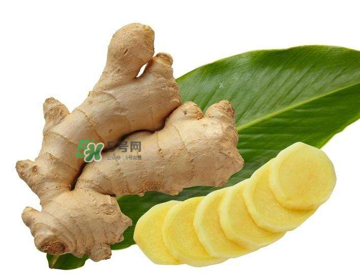 胃病患者可以長期食用生姜嗎？胃不好能不能吃姜？