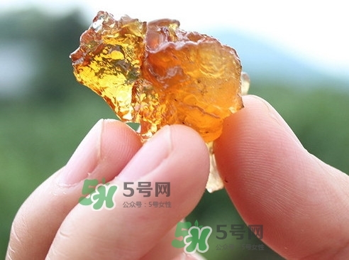 桃膠可以和什么一起煮？桃膠不能和什么一起吃