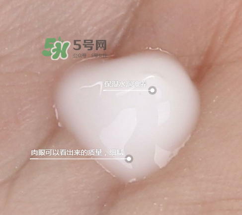 蘭芝新水酷特潤乳霜多少錢？蘭芝新水酷特潤乳霜價格
