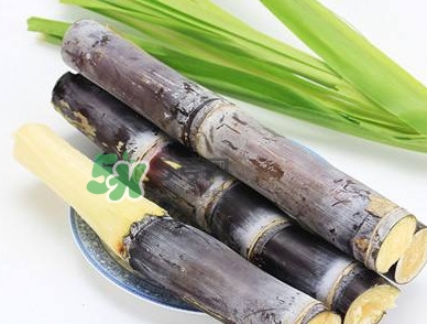甘蔗什么時(shí)候成熟？甘蔗什么時(shí)候上市